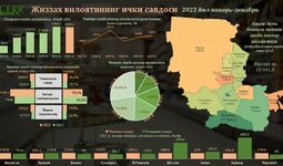 Infografika: Jizzax viloyati ichki savdosining 2022 yildagi holati