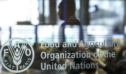 FAO and Uzbekistan sign agreement guiding collaboration on food and agriculture through 2025