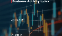 The year started with a moderate increase in the Business Activity Index in the regions