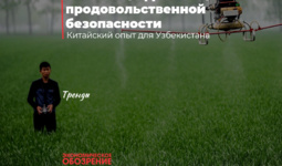 Китай в цифровизации продовольственной безопасности