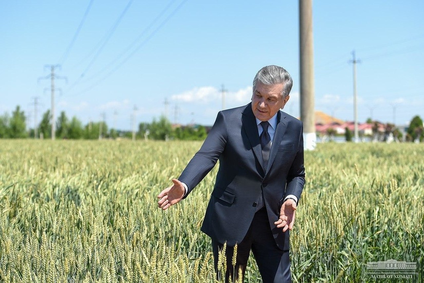 Shavkat Mirziyoyev: Fermer dalaga reja uchun emas, daromad uchun kirishi kerak (foto)