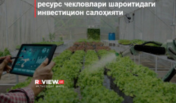 Xitoy agrotexnologiyalarining resurs cheklovlari sharoitidagi investitsion salohiyati