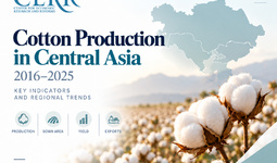Cotton Growing in Central Asia in 2016–2025