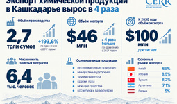 Экспорт химической продукции Кашкадарьинской области вырос в 4 раза