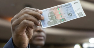 Zimbabwe’s ZiG Currency: How Does It Work, and Can It Last?