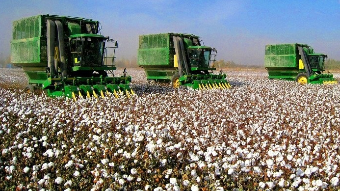 В Узбекистане ускорят механизацию сбора хлопка и доставку в регионы тысячи хлопкоуборочных машин В Узбекистане ускорят механизацию сбора хлопка и доставку в регионы тысячи хлопкоуборочных машин