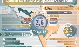 Инфографика: Торговля Узбекистана со странами Южной Азии в 2024 году