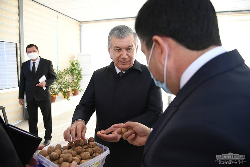 Shavkat Mirziyoyev Yangiqo‘rg‘ondagi 3 million dollarga barpo etilgan “Sura General Investments” bog‘iga bordi (foto) Shavkat Mirziyoyev Yangiqo‘rg‘ondagi 3 million dollarga barpo etilgan “Sura General Investments” bog‘iga bordi (foto)