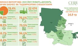 Infografika: 2022 yil yakunlarida Jizzax viloyatida kichik biznes sub’yektlari faoliyati