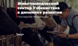 Животноводческий сектор Узбекистана в динамике развития