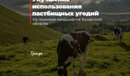 Улучшение использования пастбищных угодий
