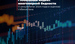 Глобальный индекс многомерной бедности