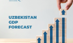 Center for Economic Research and Reforms Forecasts Uzbekistan's GDP Growth at 6.2%