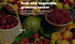 Overview of the fruit and vegetable growing sector