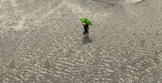 Справедливая трансформация земельных ресурсов