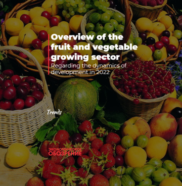 Overview of the fruit and vegetable growing sector