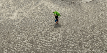 Справедливая трансформация земельных ресурсов