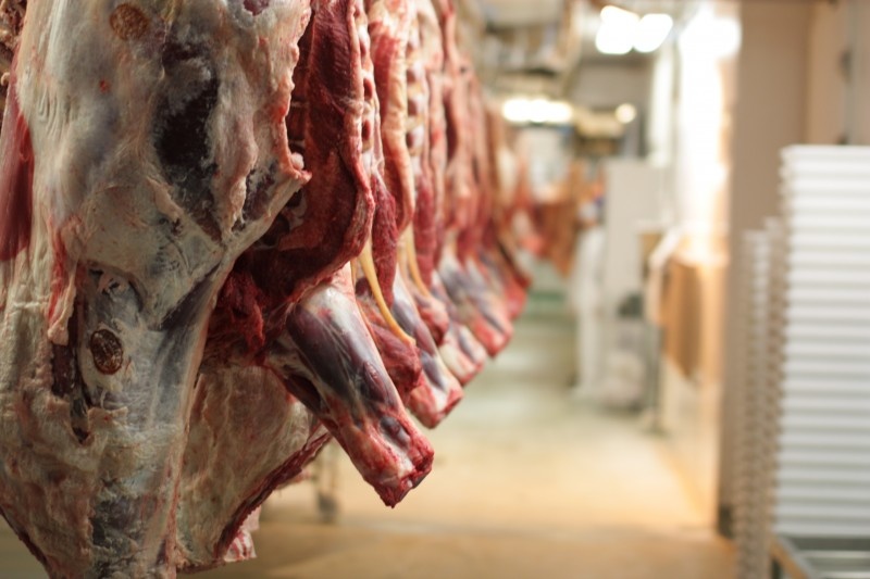 В Казахстане обещают доплачивать фермерам за сдачу мяса на переработку