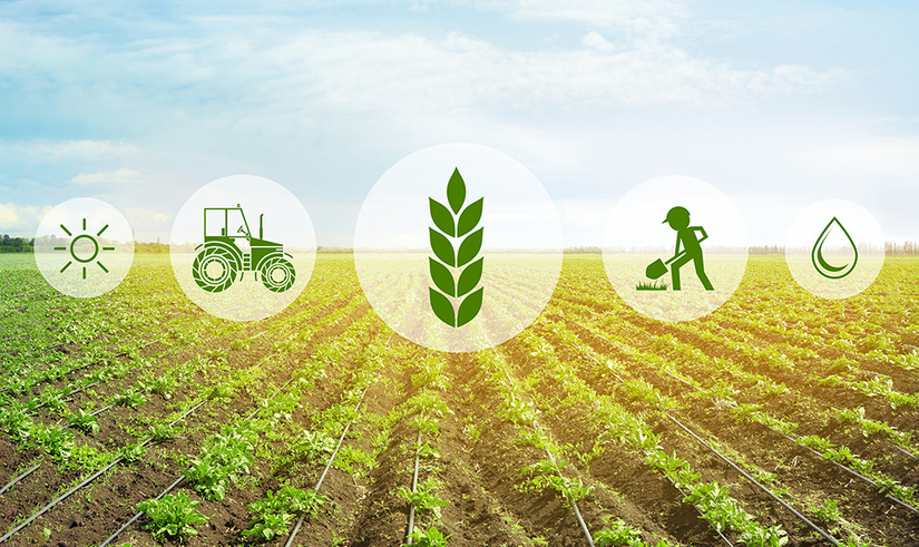 Комплекс аграрных реформ. Достижения и инвестиционные планы Комплекс аграрных реформ. Достижения и инвестиционные планы