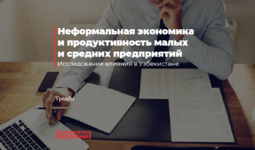 Неформальная экономика и продуктивность малых и средних предприятий