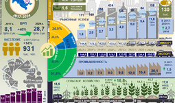 Инфографика: Социально-экономическое развитие Сырдарьинской области за 2017-2024 гг.
