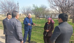 “Оққўрғон тажрибаси” Жиззахда қандай натижалар берди?