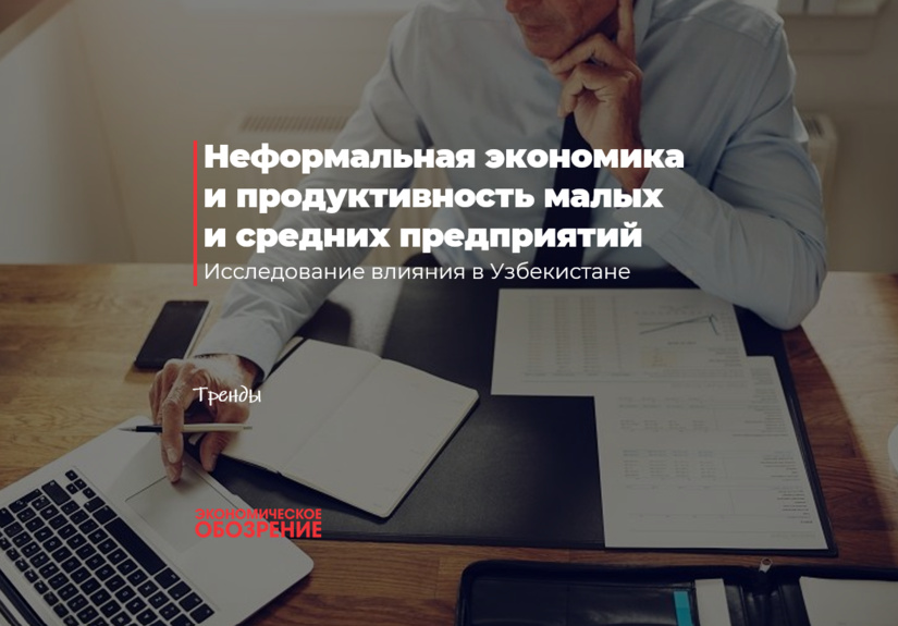 Неформальная экономика и продуктивность малых и средних предприятий