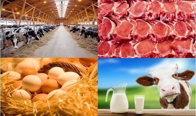 Chorvachilik, parrandachilik va baliqchilik xo‘jaliklariga subsidiyalar ajratiladi Chorvachilik, parrandachilik va baliqchilik xo‘jaliklariga subsidiyalar ajratiladi