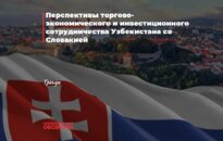 Перспективы