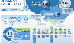 Infographics: Trade relations between Uzbekistan and the EAEU in January-June 2022