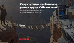 Структурные дисбалансы рынка труда Узбекистана