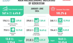 Economic development of Uzbekistan in the first half of 2024