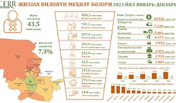 Jizzax viloyati mehnat bozorining  2023 yil yanvar-dekabr holati