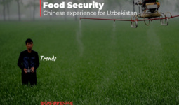 China In Digitalizing Food Security