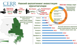 Infografika: Navoiy viloyatida 2023 yil yanvar-mart oylari davomida assosiy kapitalga kiritilgan investitsiyalar tahlil qilindi