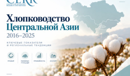 Хлопководство в Центральной Азии в 2016–2025 гг.