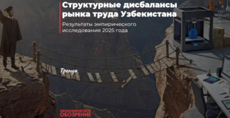 Структурные дисбалансы рынка труда Узбекистана