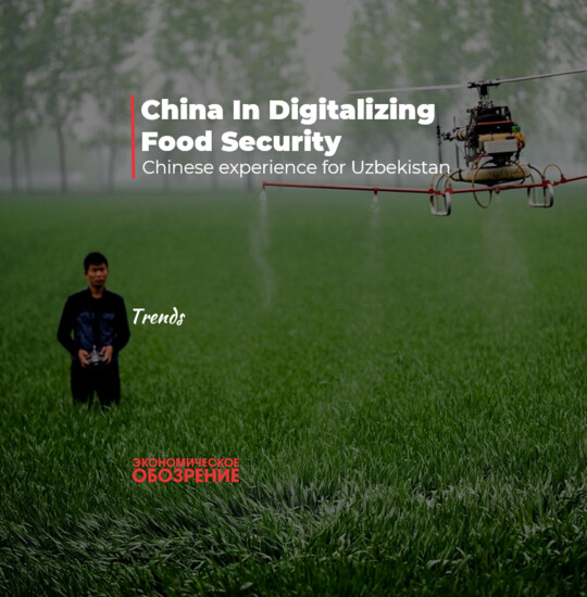 China In Digitalizing Food Security