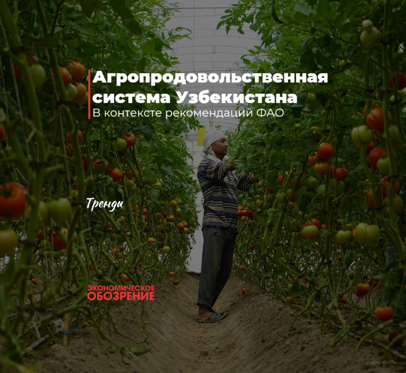 Агропродовольственная система Узбекистана Агропродовольственная система Узбекистана