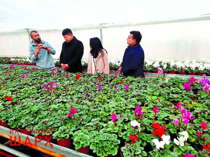 Ҳоким ёрдамчилари: илк натижалар ва келгуси вазифалар Ҳоким ёрдамчилари: илк натижалар ва келгуси вазифалар