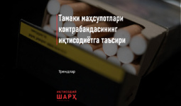 Тамаки маҳсулотлари контрабандасининг иқтисодиётга таъсири