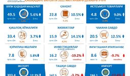 Инфографика: Қашқадарё вилоятининг 2022 йилдаги асосий макроиқтисодий кўрсаткичлари
