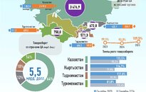 Инфографика:
