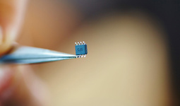 Why Making Computer Chips Has Become a New Global Arms Race