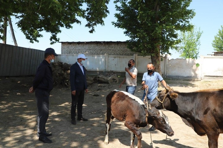 Rus ayollarining tukli mushuklari aks etgan porno Sochli porno haqida malumot