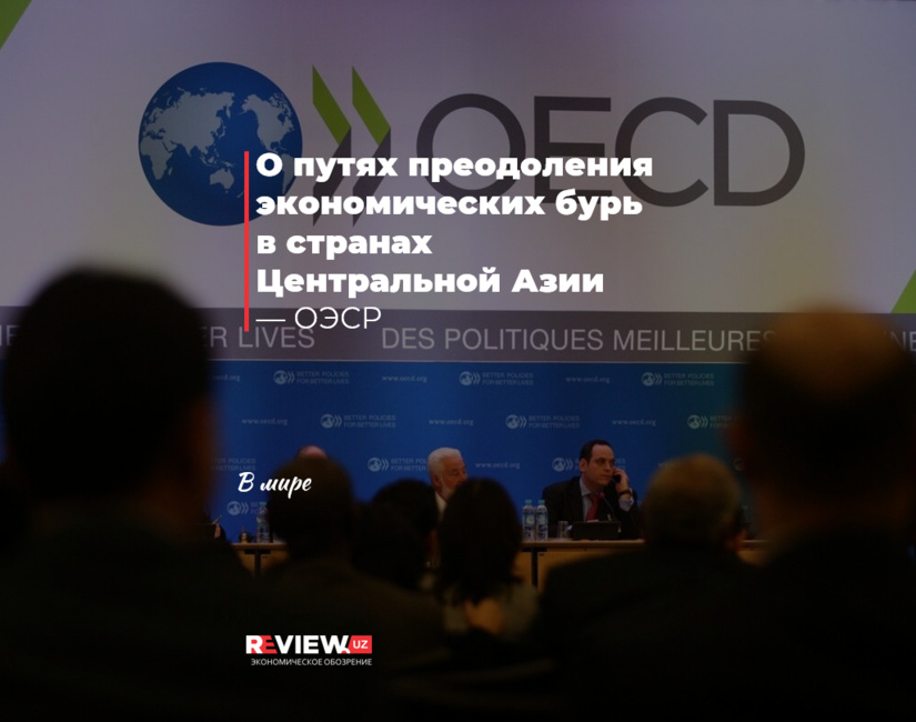 Пути преодоления экономических бурь в странах Центральной Азии — ОЭСР