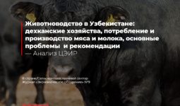 Дехканские хозяйства как движущая сила животноводства