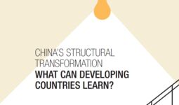Опыт структурных преобразований в Китае