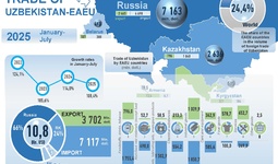 Infographic: Uzbekistan's trade relations with the EAEU in July 2025