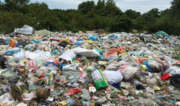 Сингапур компанияси Ўзбекистонда чиқиндидан ўғит ишлаб чиқармоқчи